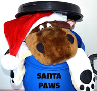 Santa paws